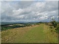 SO4685 : Callow Hill to The Wrekin-Lower Dinchope, Shropshire by Martin Richard Phelan