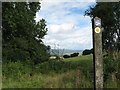 SO4685 : Callow Hill downhill now-Lower Dinchope, Shropshire by Martin Richard Phelan