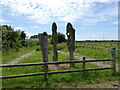 Sculpture, Magor Marsh