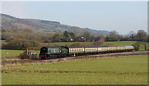 ST1039 : West Somerset Railway near Bicknoller by Gareth James