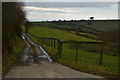 North Devon : Farm Track