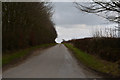 North Devon : Countryside Lane