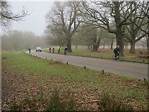 TQ1872 : Cyclists in Richmond Park by Hugh Venables