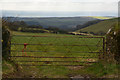 North Devon : Grassy Field & Gate