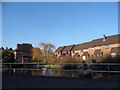 The pond at Lane End