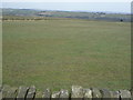 Grazing off Pond Common Lane