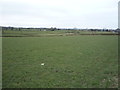 Farmland off Long Lane