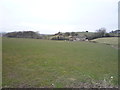 Grazing, Denby Dale