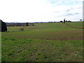 Fields off of Whitlenge lane, Hartlebury