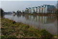 River Crest Apartments next to the Trent