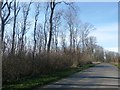 Road between Flixborough and Burton upon Stather