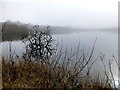 H7686 : Misty at Lough Fea by Kenneth  Allen