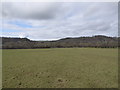 Flat field near Abermule