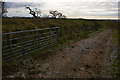 North Devon : Farm Track