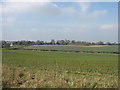 Farmland east of Haynes Park