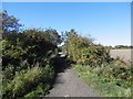 Seatonburn Waggonway