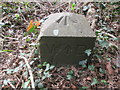 Boundary Stone