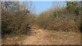 Standing on the boundary from sandstone to limestone