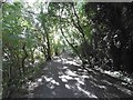 Railway trackbed, Ponteland