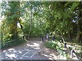 Woodland path, Darras Hall