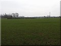 Arable field near Duke