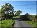 Yellow road near Dalton