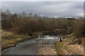 The River Calder