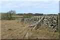 Stile over Dry Stane Dyke