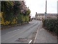 Yew Tree Lane - viewed from Spring Lane