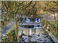 SD6811 : Small Weir on Dean Brook by David Dixon