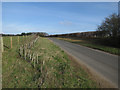 New hedge by Red Barn Lane