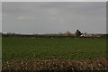 TF0983 : View towards Lissingley Farm by Chris