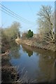 River Brue at Bason Bridge