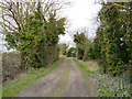 Track up from River Stour towards Minster