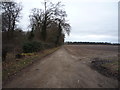 Farm track beside Rambushfield Belt