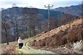 NN5307 : Lendrick Hill and Dam Walk, Trossachs by Jim Barton