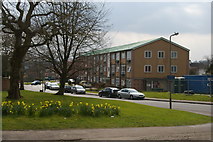 TQ2595 : Flats on Barnet Lane, from Underhill by Christopher Hilton