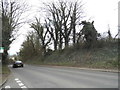 Thame Road, Long Crendon