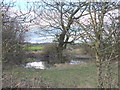 One of the small ponds near Chadwick Farm