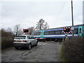 TL5756 : Train passing the level crossing on Brinkley Road, Six Mile Bottom by JThomas