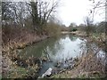 The former Worsbrough branch canal [lower level]