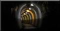 Thurgoland tunnel.