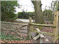 Footpath from the north arrives at Hammerpond Road