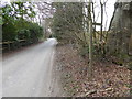 Looking west on Hammerpond Road