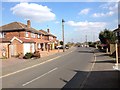 Squires Way, Joydens Wood