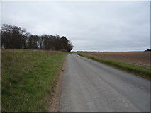 TL6058 : Minor road towards Dullingham  by JThomas