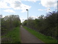 Northampton - River Nene Pathway