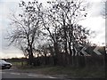 Field entrances on The Foresters, Oakley