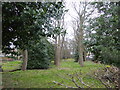 Small park to the west of Hoole Road with a stream running through it