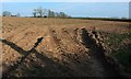 Arable field, Lanreath